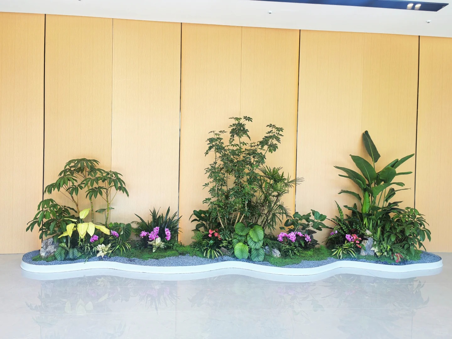专业租摆镇海盆景，满足您的绿植需求
