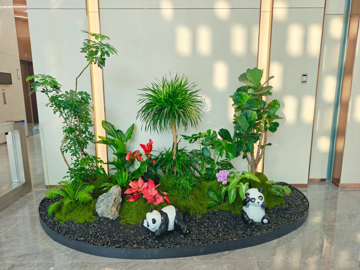 专业租摆镇海盆景，满足您的绿植需求